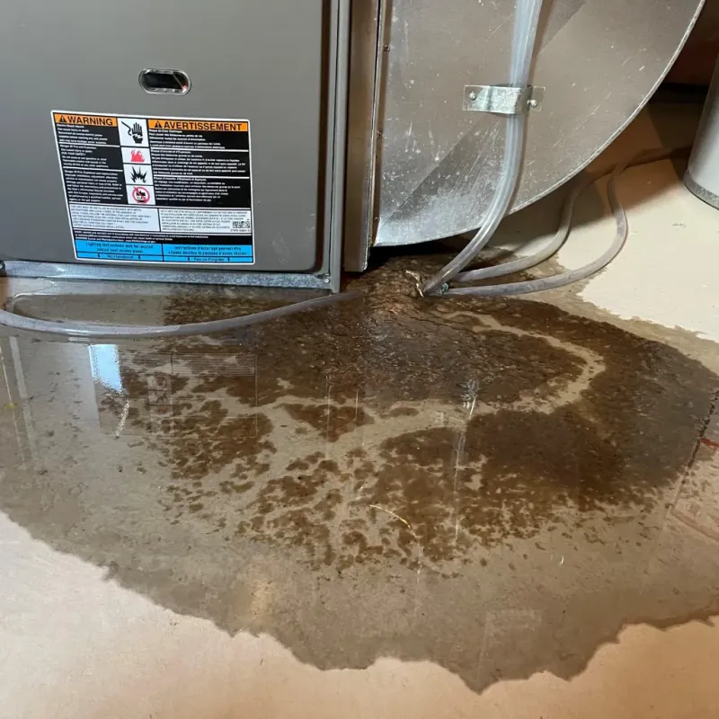 Appliance Leak Cleanup in Princeville, HI