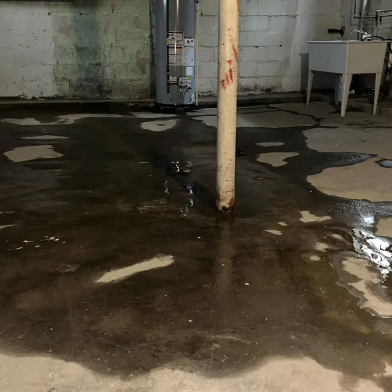 Emergency Water Extraction And Removal in Princeville, HI